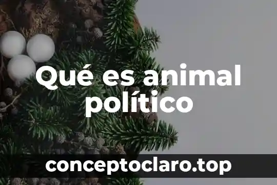 Que es el sorgo en nutricion animal 5 Qué es animal político