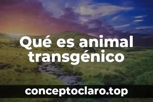 Qué es animal transgénico