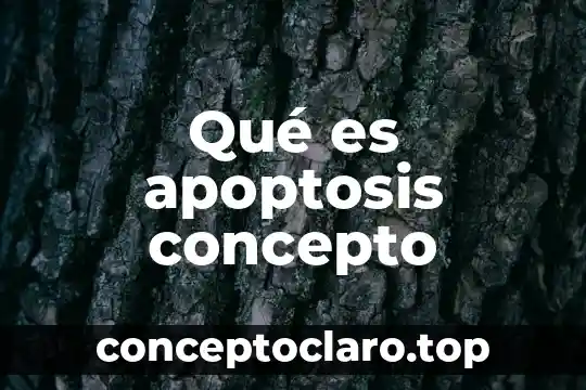 Qué es apoptosis concepto