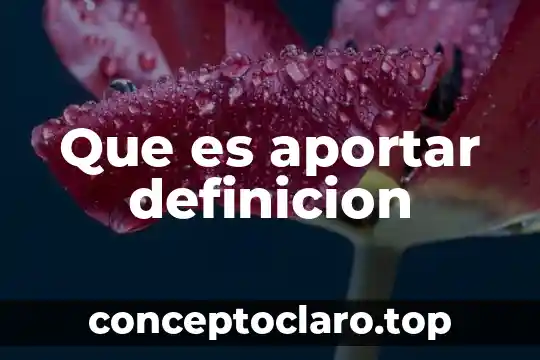 Que es aportar definicion