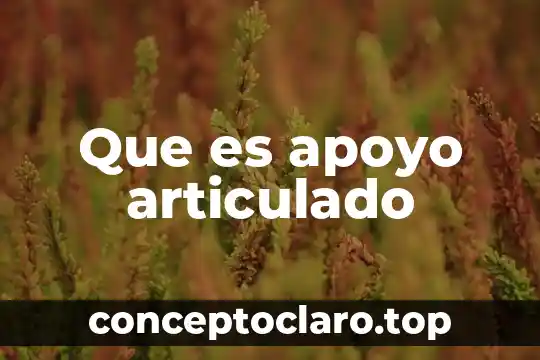 Que es apoyo articulado
