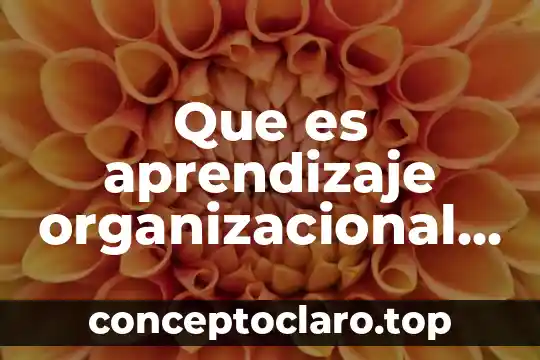 Que es identificar el mercado de una empresa 3 Que es aprendizaje organizacional de una empresa