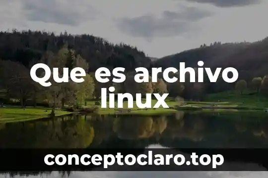 Que es el archivo found.000 file0004.chk 4 Que es archivo linux