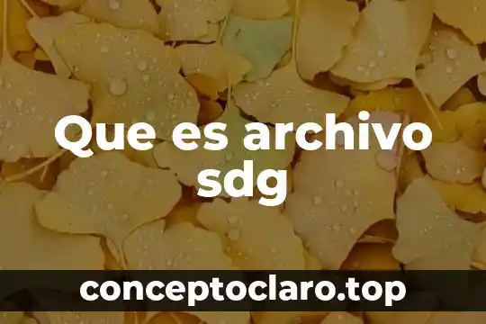 Que es archivo sdg