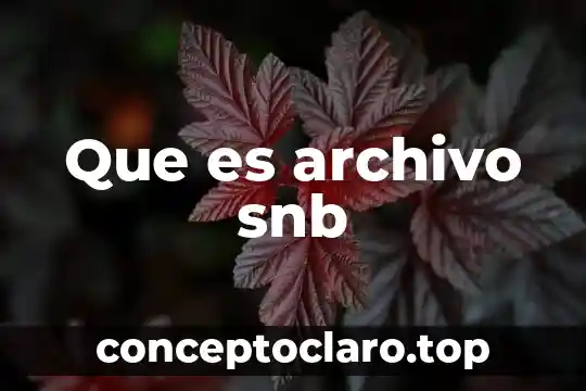 Que es archivo manifest dao mods 3 Que es archivo snb