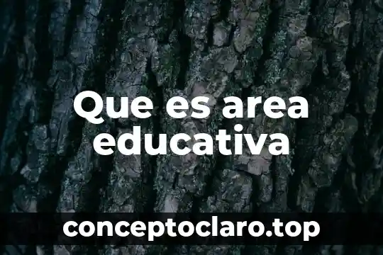 Que es la escolaridad educativa 8 Que es area educativa