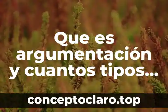 Que es argumentación y cuantos tipos hay
