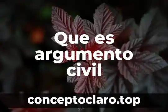 Que es argumento civil