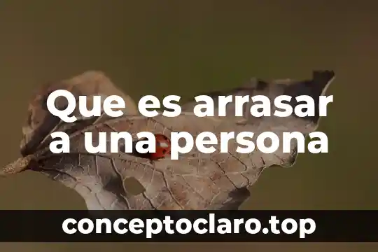 Que es una persona tranvesti 4 Que es arrasar a una persona
