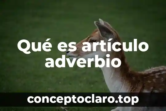 Que es un adverbio significado 3 Qué es artículo adverbio