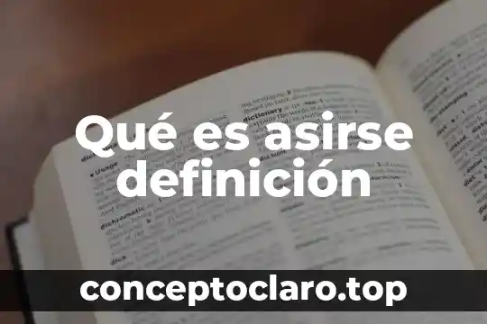 Qué es asirse definición