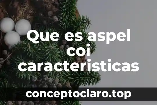 Que es aspel coi caracteristicas
