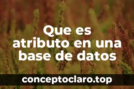 Que es atributo en una base de datos