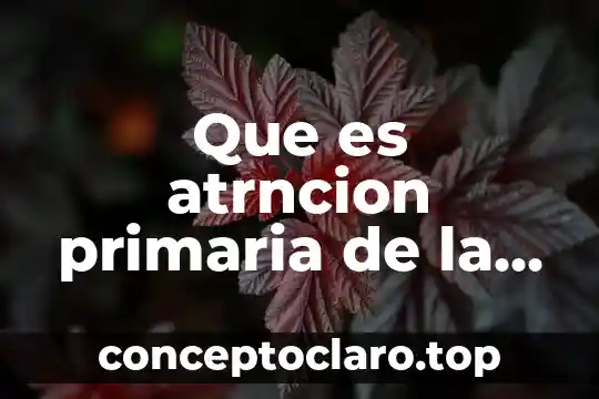 Que es el color segun autores 4 Que es atrncion primaria de la salud segun la oms