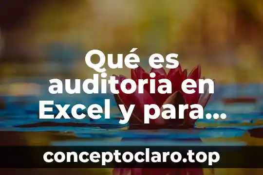 Qué es auditoria en Excel y para qué sirve