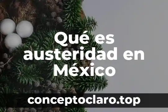 Que es superestructura y como impacta en mexico 7 Qué es austeridad en México