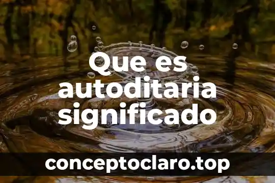Qué es DIF significado 8 Que es autoditaria significado
