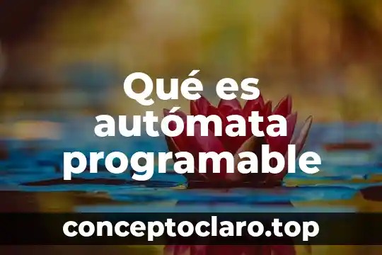 Qué es autómata programable