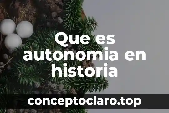 Que es autonomia y sus caracteristicas 3 Que es autonomia en historia
