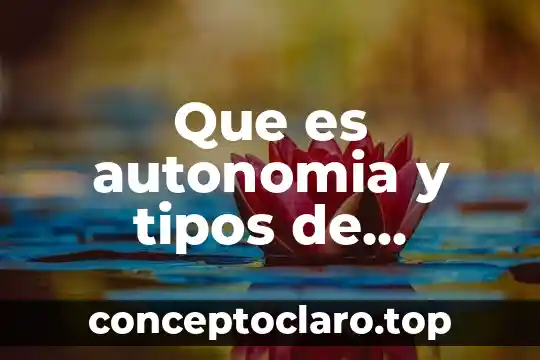 Que es autonomia y tipos de autonomia segun hegel