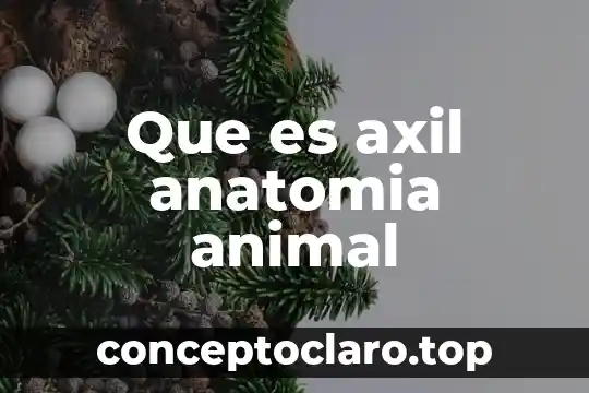 Insight animal que es psicología 3 Que es axil anatomia animal