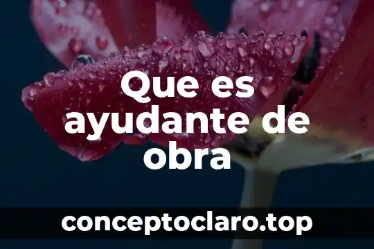 Que es ayudante de obra