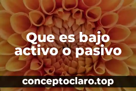 Que es acapital activo 4 Que es bajo activo o pasivo