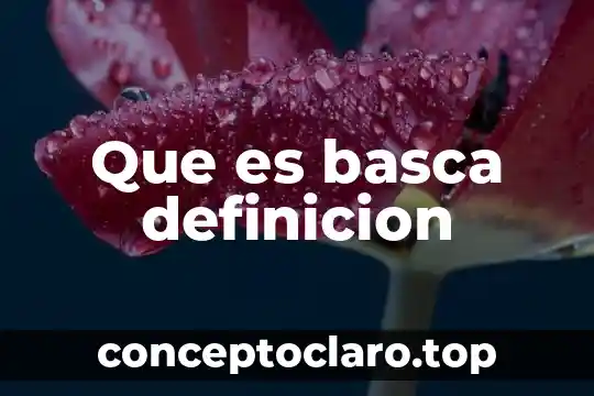 Que es basca definicion