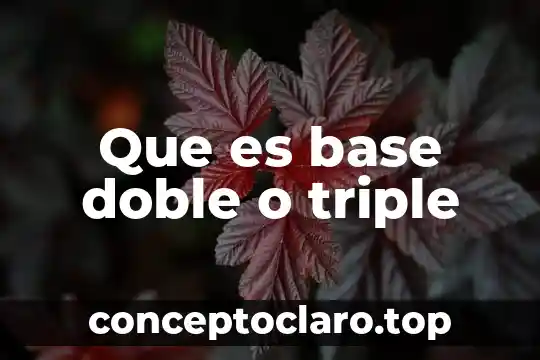 Que es base doble o triple