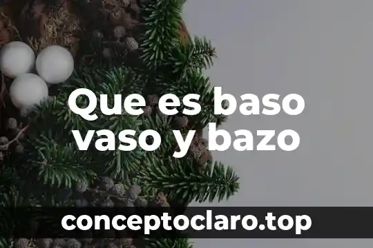 Para que es el vaso de agua 5 Que es baso vaso y bazo