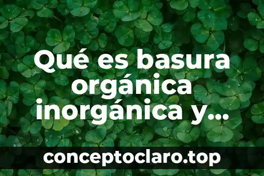 Que es reciclaje de plastico significado 3 Qué es basura orgánica inorgánica y reciclaje para niños