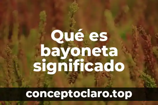 Qué es ateneo significado 5 Qué es bayoneta significado