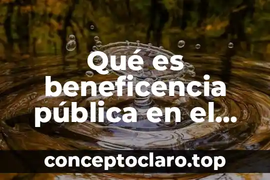 Allison parker que es 8 Qué es beneficencia pública en el derecho significado