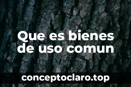 Que es bienes de uso comun
