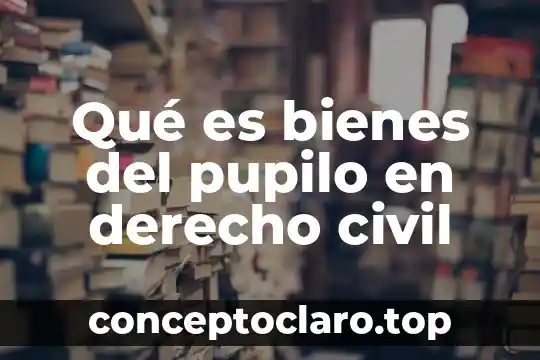 Qué es bienes del pupilo en derecho civil
