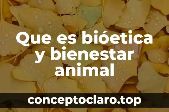 Que es bióetica y bienestar animal