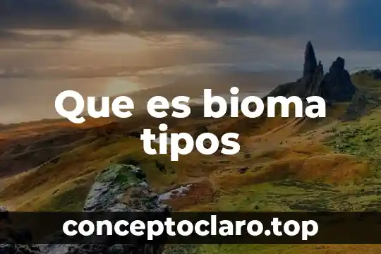 Que es el racismo tipos 4 Que es bioma tipos