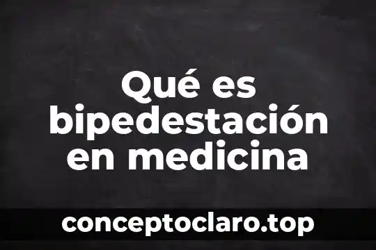 Qué es bipedestación en medicina