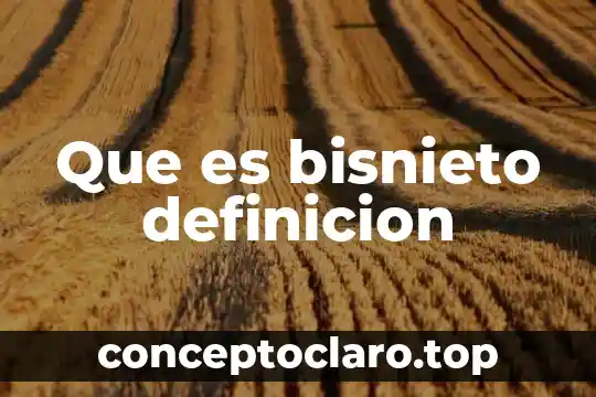 Que es bisnieto definicion