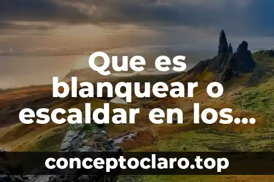 Que es compartir los alimentos 4 Que es blanquear o escaldar en los alimentos