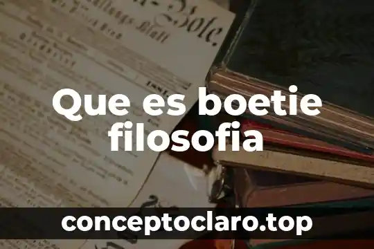 Que es boetie filosofia