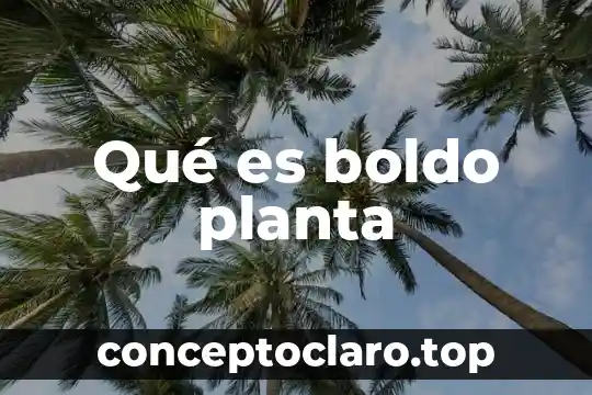 Qué es una planta híbrida 8 Qué es boldo planta