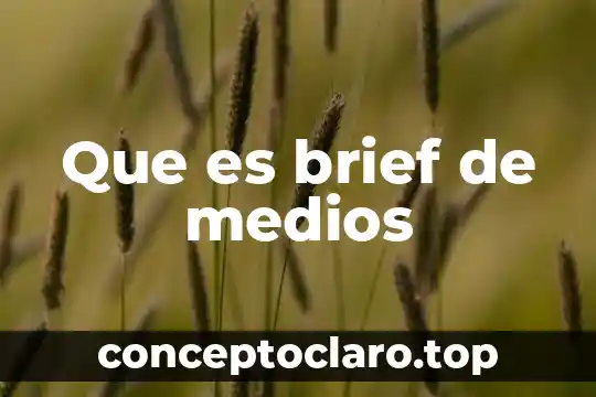 Que es brief de medios