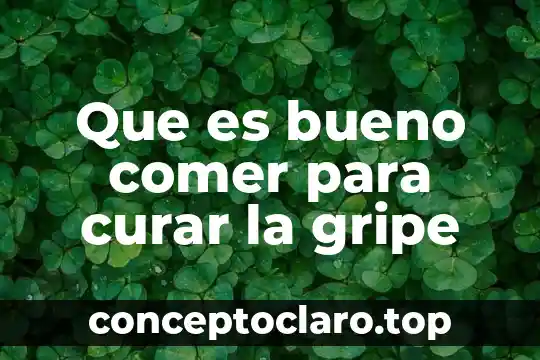 Que es bueno comer para curar la gripe