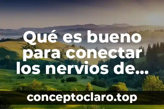 Qué es bueno para conectar los nervios de las piernas