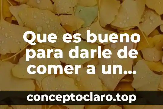 Significado de darle que es mole de olla 6 Que es bueno para darle de comer a un pitbull
