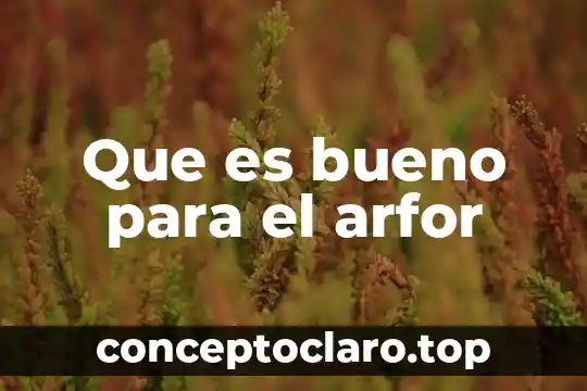 Que es bueno para el arfor