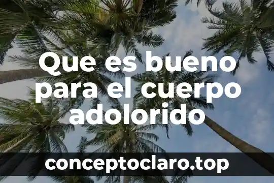 Que es el sosten del cuerpo humano 8 Que es bueno para el cuerpo adolorido