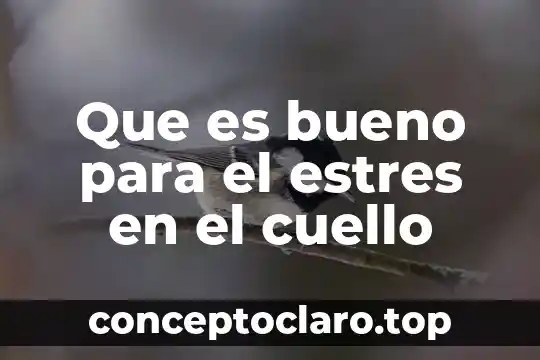 Que es bueno para el estres en el cuello