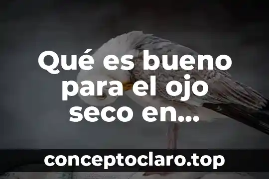 Qué es bueno para el ojo seco en naturismo